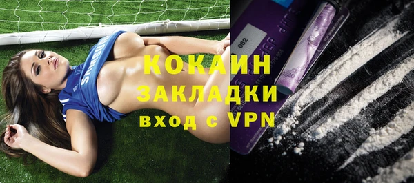 молекула духа Алексин