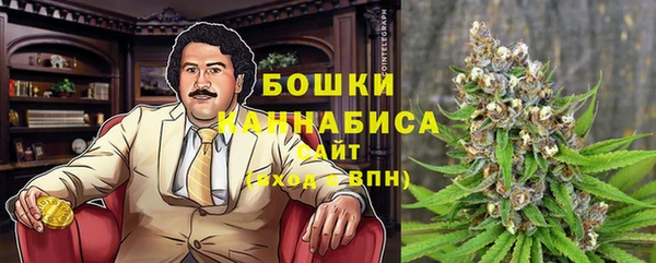 PSILOCYBIN Алексеевка
