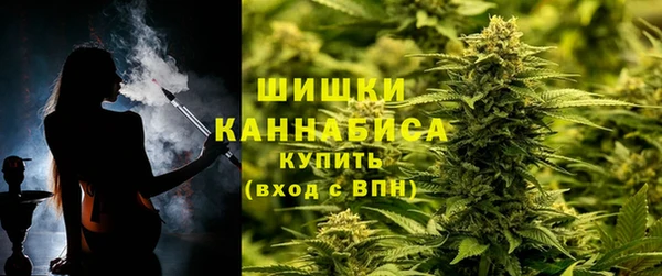 PSILOCYBIN Алексеевка