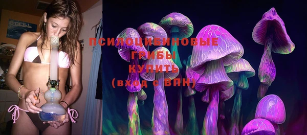 не бодяженный Алзамай