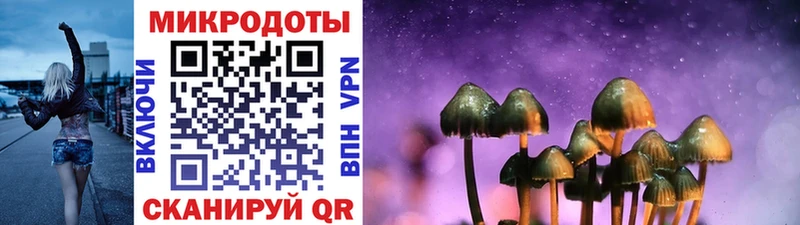 Псилоцибиновые грибы Psilocybine cubensis  Чебоксары 