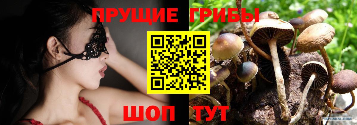 Псилоцибиновые грибы Psilocybine cubensis Чебоксары